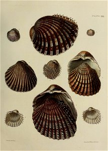 n106_w1150