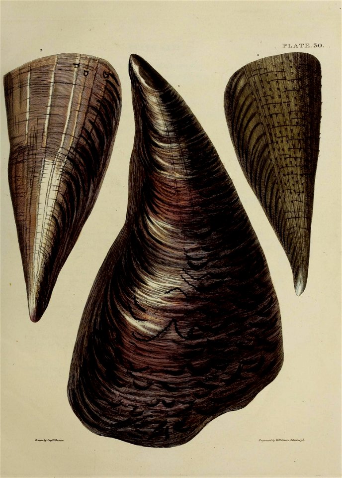 n140_w1150