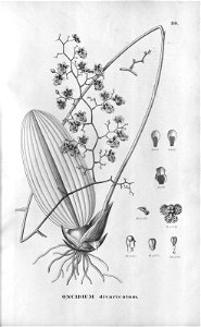 n398_w1150