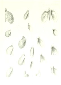 n252_w1150
