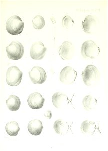 n192_w1150