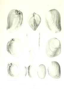 n222_w1150