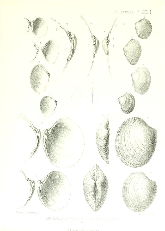 n162_w1150