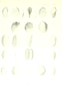 n132_w1150
