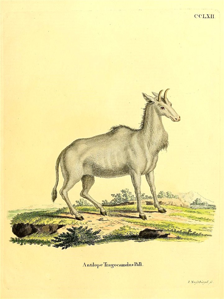 n428_w1150