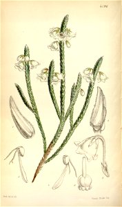 n121_w1150