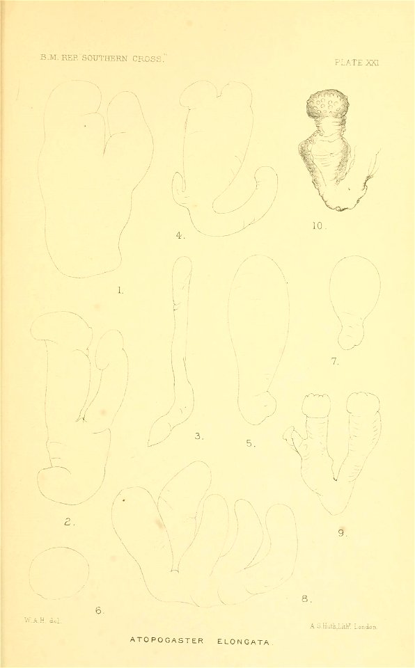 n390_w1150
