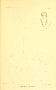 n390_w1150