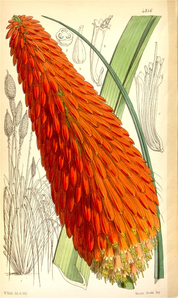 n181_w1150