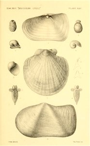 n398_w1150