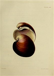 n116_w1150
