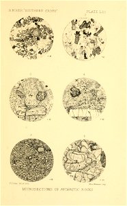n454_w1150