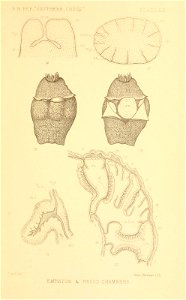 n452_w1150