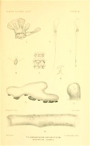 n388_w1150
