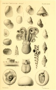 n396_w1150