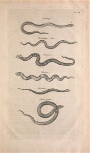 n584_w1150