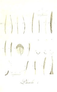 n40_w1150