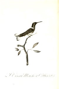 n129_w1150