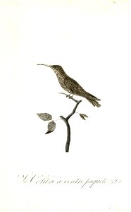 n60_w1150