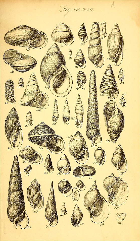 n358_w1150