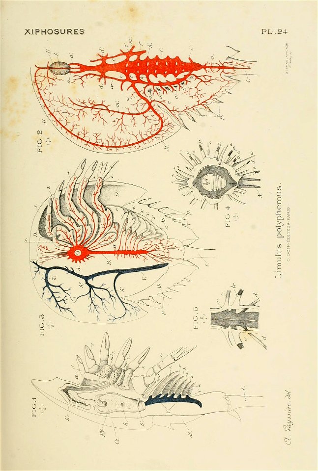 n148_w1150
