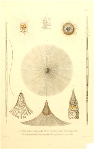 n14_w1150
