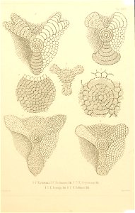 n68_w1150