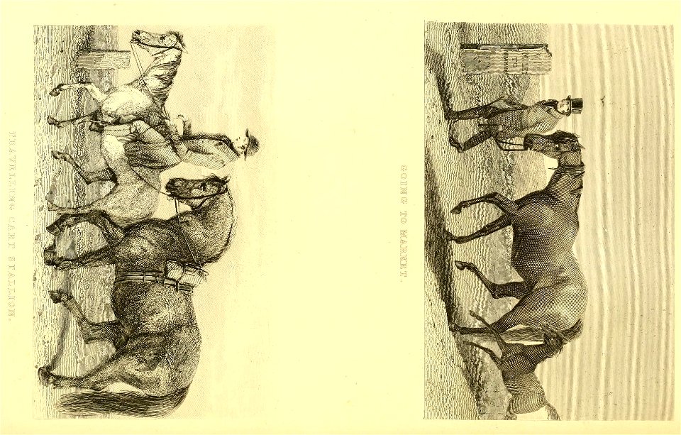 n149_w1150