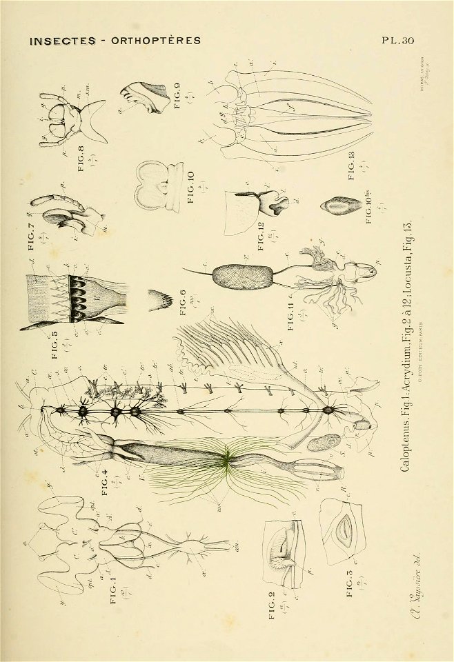 n182_w1150