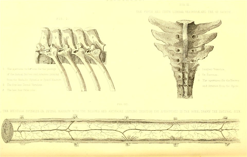 n221_w1150