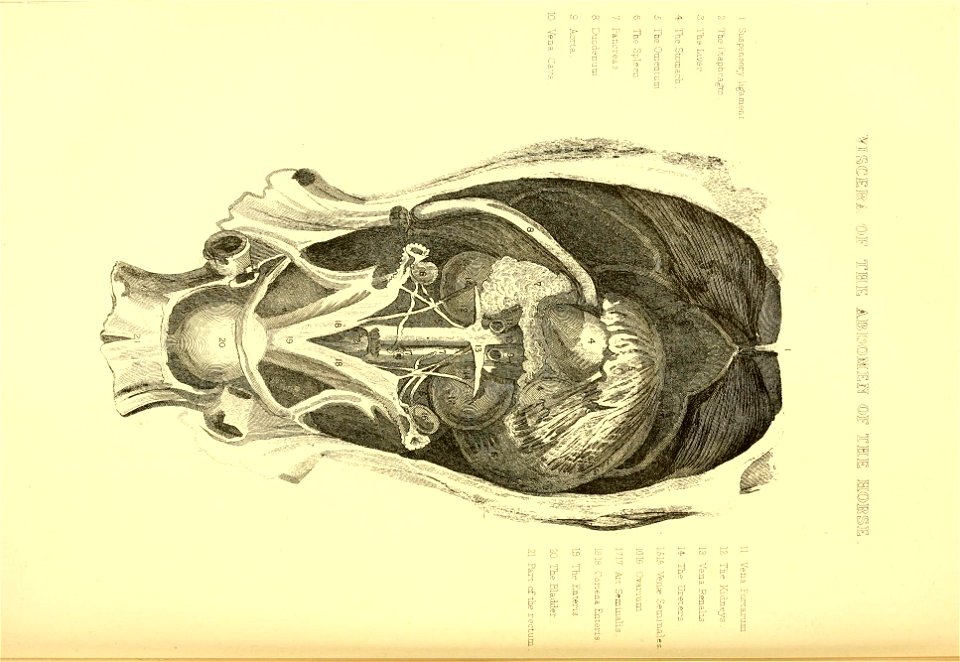 n413_w1150