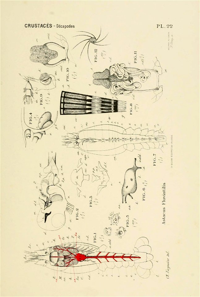 n136_w1150