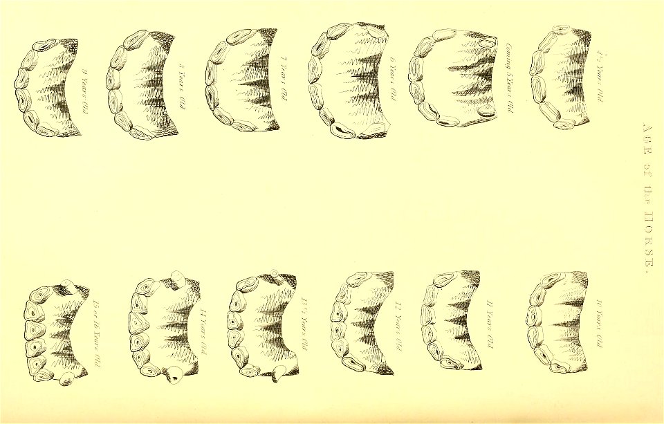 n249_w1150