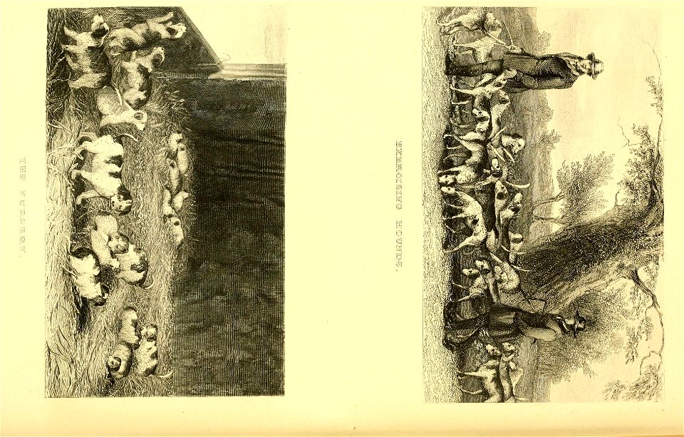 n581_w1150