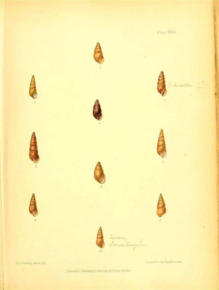n162_w1150