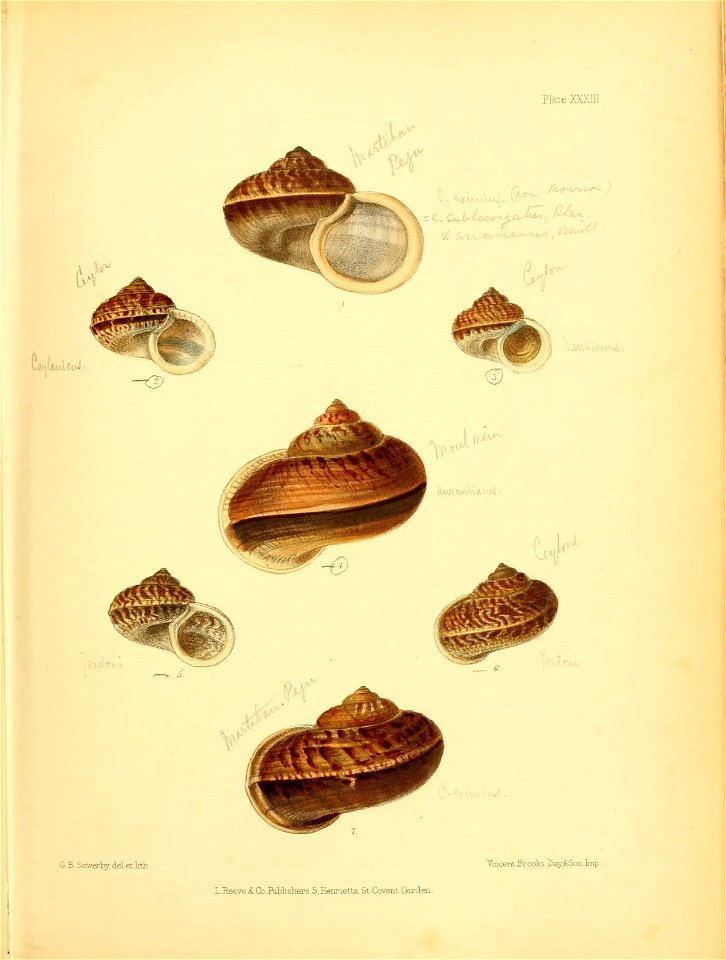 n158_w1150