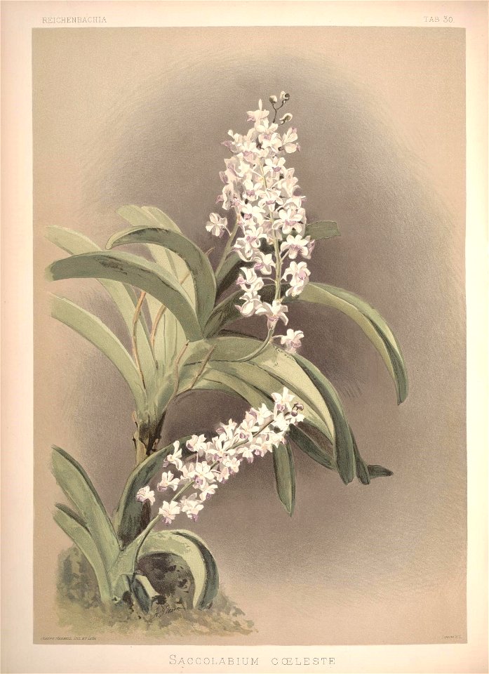 n98_w1150