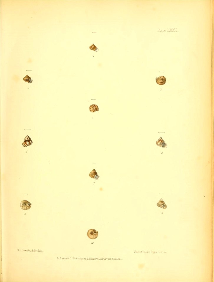 n256_w1150