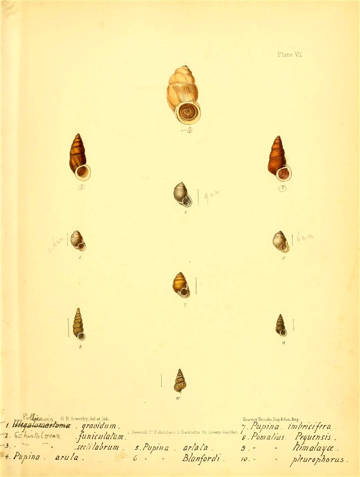 n106_w1150