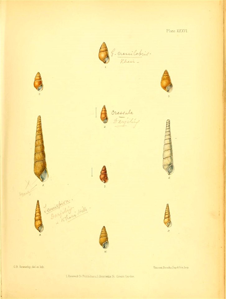n164_w1150