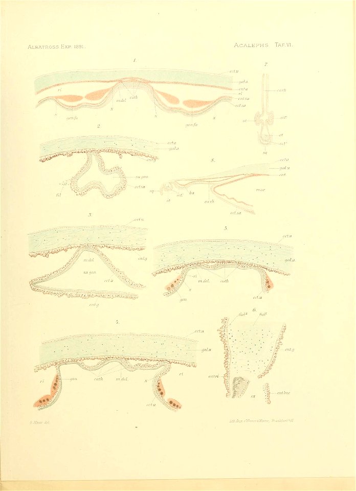 n116_w1150