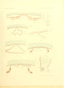 n116_w1150