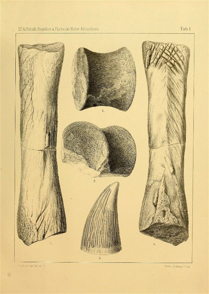 n56_w1150