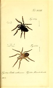 n192_w1150