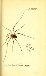 n140_w1150