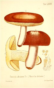 n312_w1150
