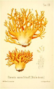 n368_w1150