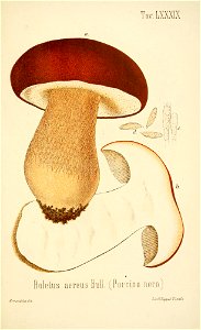 n338_w1150