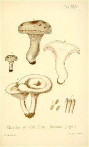 n248_w1150