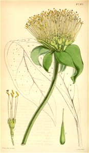 n121_w1150